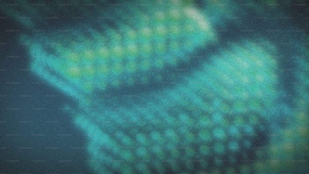 JDG赛季五连胜 BLG换打野迎来蜜月期